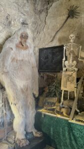 sala laboratorio castillo encantado